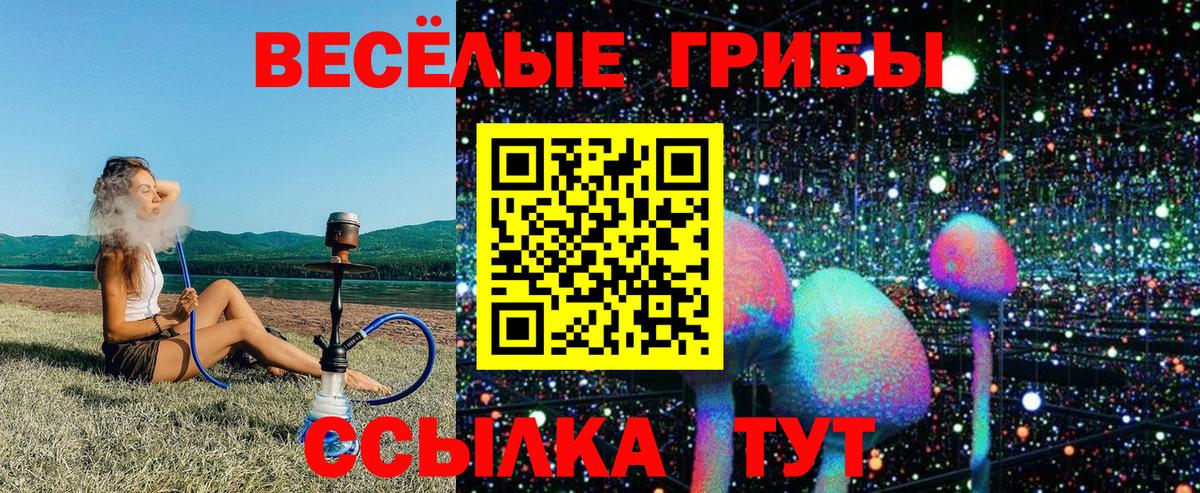 Галлюциногенные грибы GOLDEN TEACHER  Галлюциногенные грибы MAGIC MUSHROOMS  Дербент  Вход с VPN 